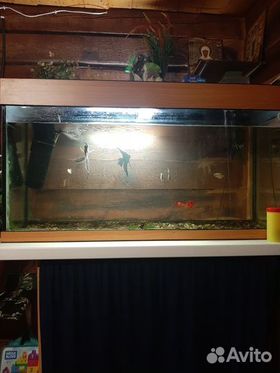 Аквариум