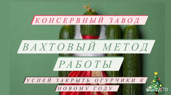 Консервный завод вахта сотрудник производства