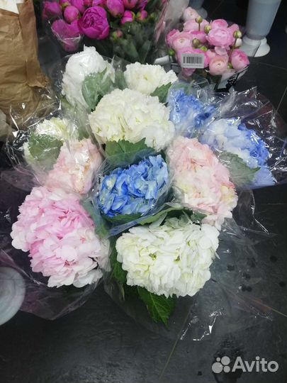 Доставка цветов