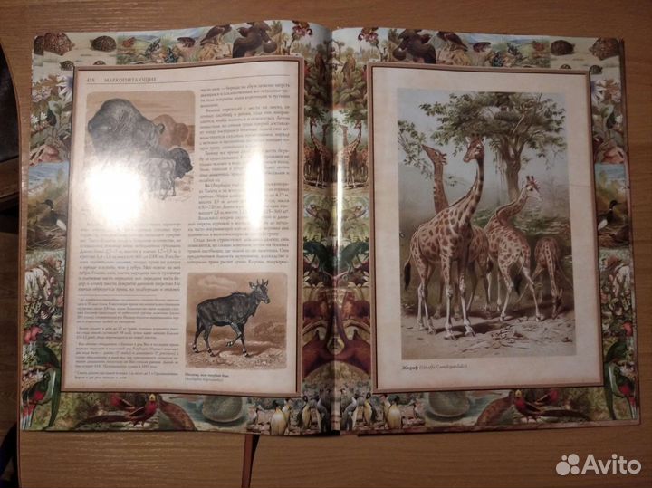 Жизнь Животных Артур Брем