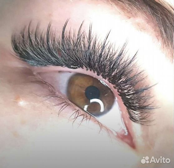 Обучение с нуля