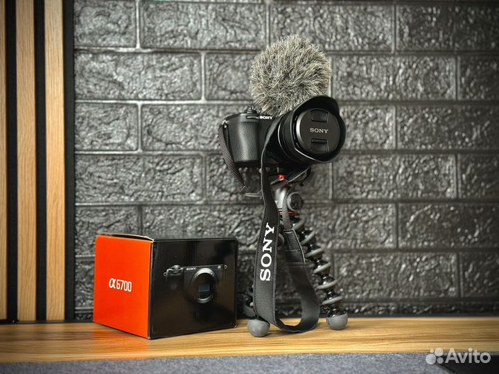 Фотоаппарат sony a6700 body (Рус. меню)