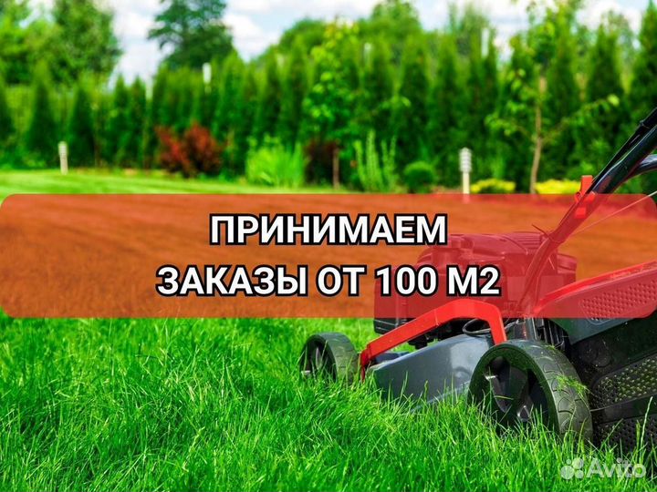 Рулонный газон