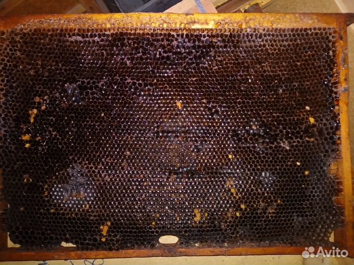 Рамки с сушью