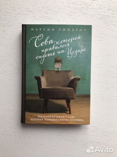 Книга Мартина Уиндроу «Сова, которой нравилось сид