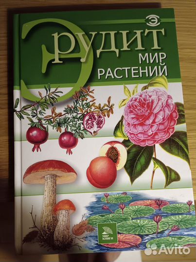Книги Серия Эрудит