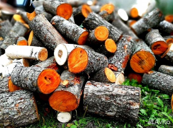 Дрова Береза