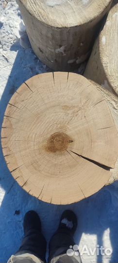 Спил дерева слэб