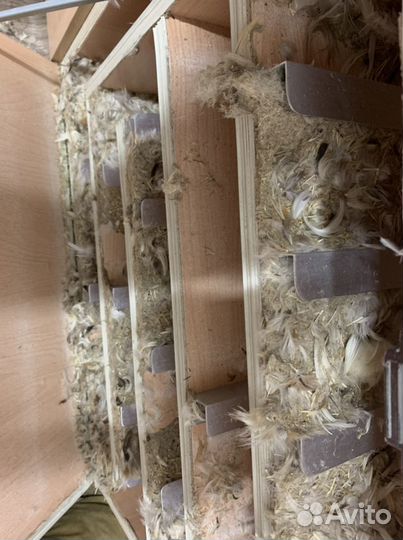 Сухая Чистка подушек