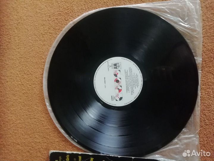 Винилловая пластинка Y & T