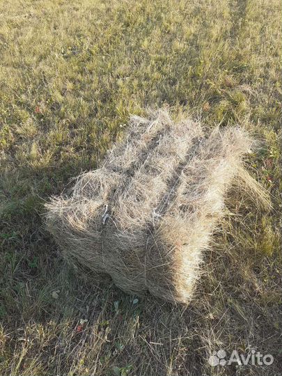 Сено в квадратных тюках