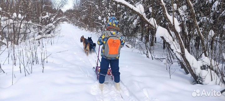 Нарты самодельные