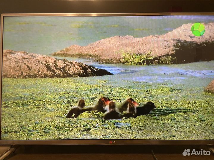 Телевизор lg smart tv