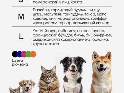 Переноска для собак и кошек, Дружба