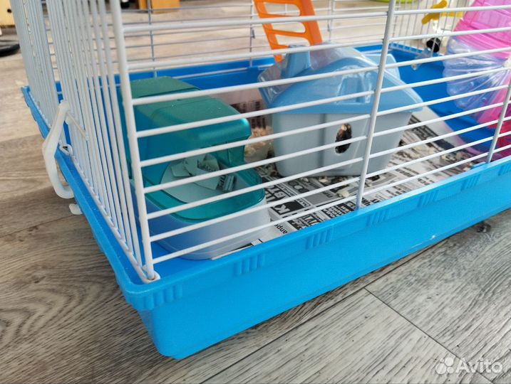 Продам хомяка джунгарика с клеткой