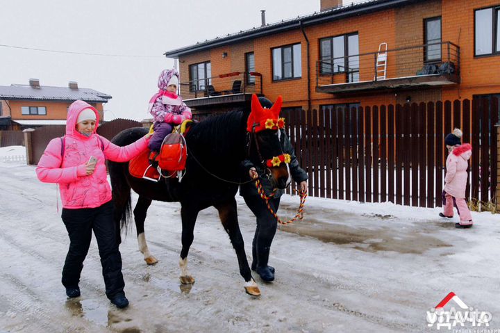 Лошадка и пони на праздник