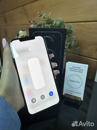 iPhone 12 Pro Max, 256 ГБ