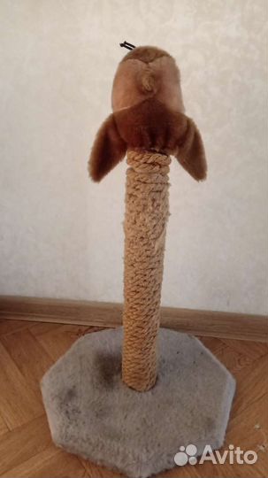 Когтеточка