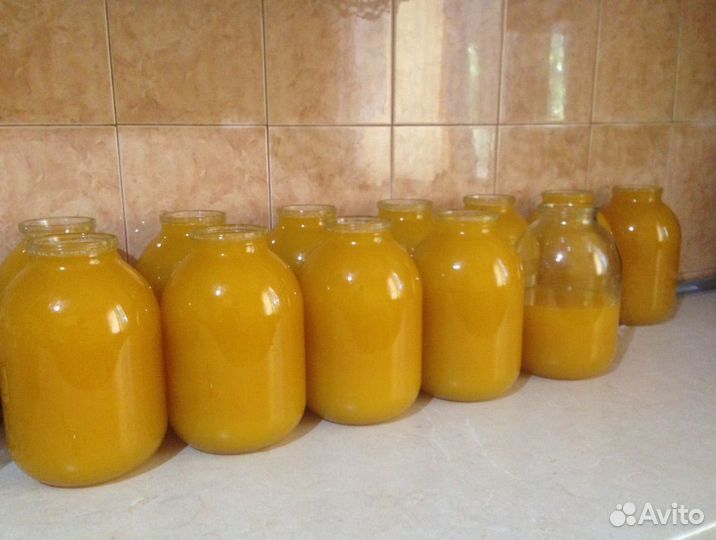 Мед подсолнечный (подсолнух)