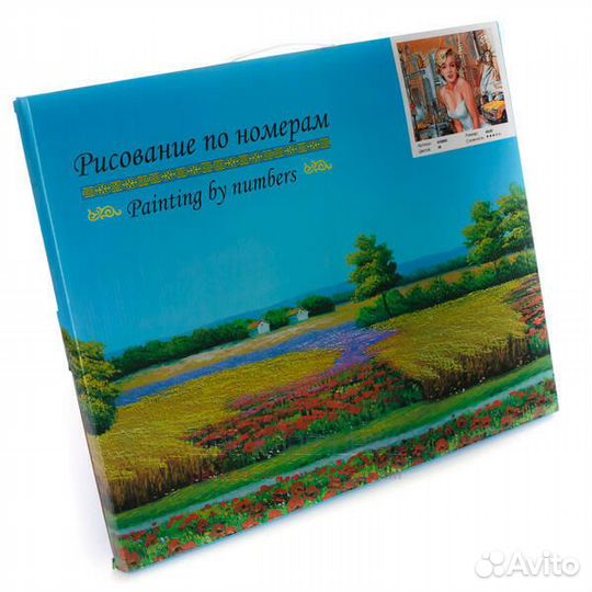 Картина по номерам 40x50 Девушка с цветными перьям