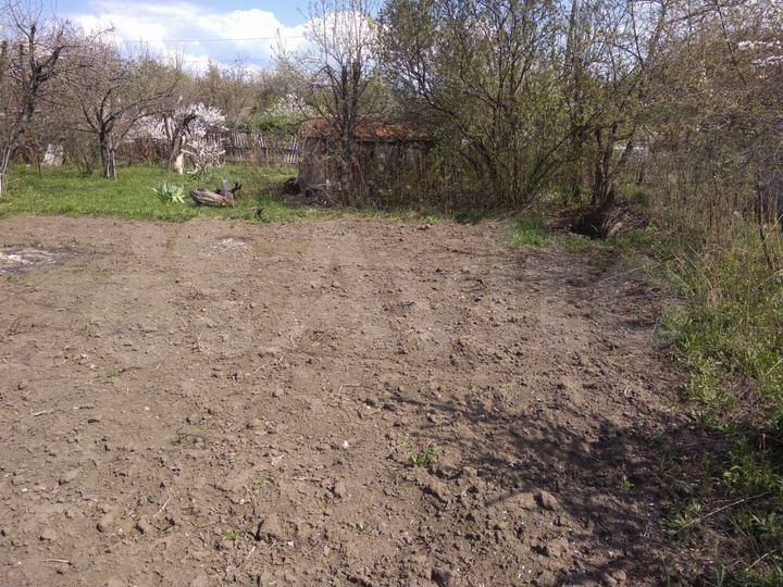 Участок 5,5 сот. (СНТ, ДНП)