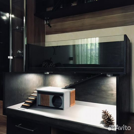 Витрина для морской свинки, ежика