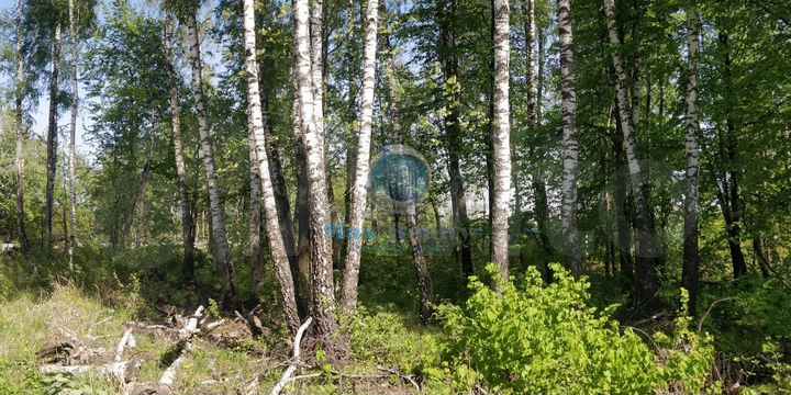 Участок 22,7 сот. (ИЖС)