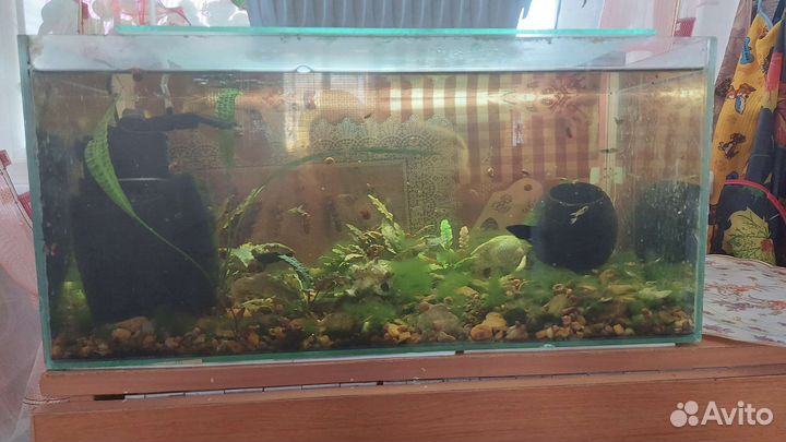 Аквариум 35 литров
