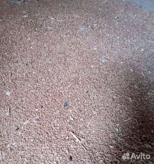 Кормовой овёс, Соя на корм