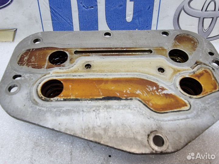 Теплообменник масляный Opel Astra H