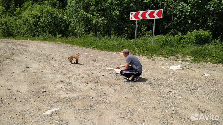 Экскурсии / 