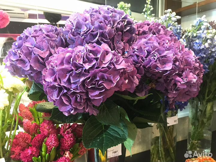 Цветы, букеты, Шары, оформление