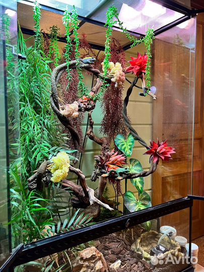 Террариум для хамелеона 60х45х90