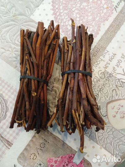 Сабельник корень