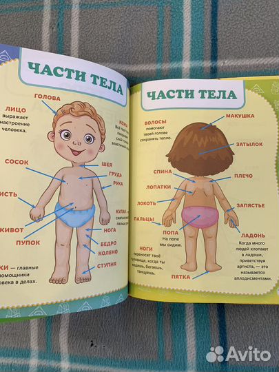 Полный годовой курс занятий Жукова 1-2 года