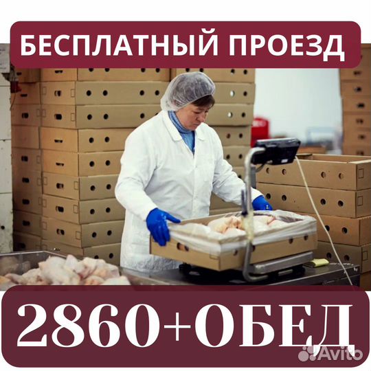 Вахта Пенза бесплатный выезд из Сызрани