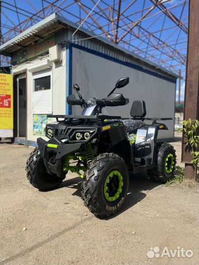 Квадроцикл 200 wild track LUX (баланс. вал)