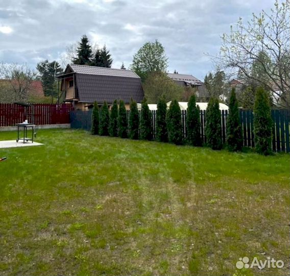 Живая изгородь для ландшафта