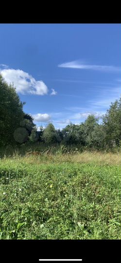 Участок 16 сот. (ИЖС)