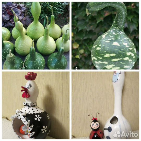 Семена лагенарии