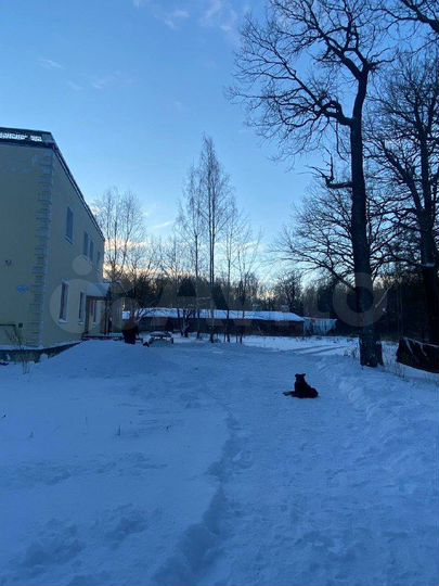Продажа здания
