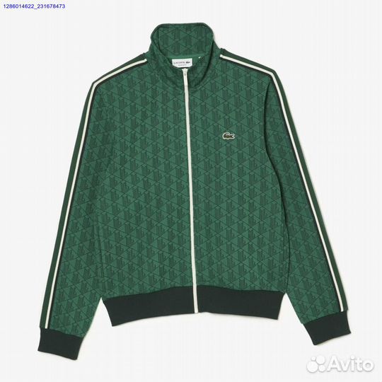 Мужской костюм lacoste (Арт.20539)