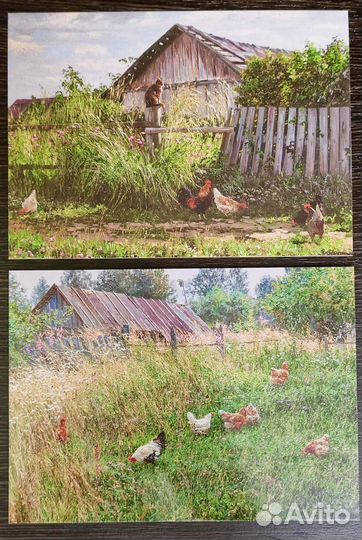 Открытки для посткроссинга худ Т.Черных Белоруссия