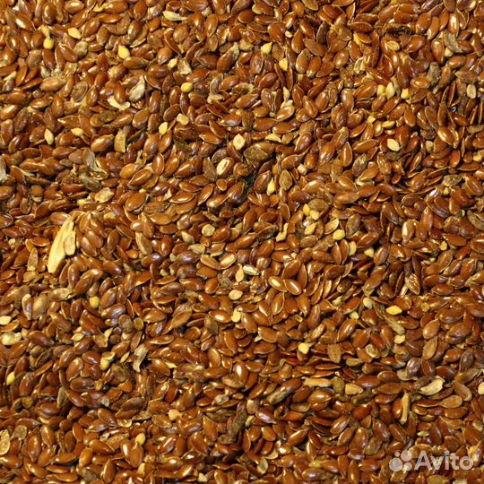 Вика, Лён, сорго и многое другое