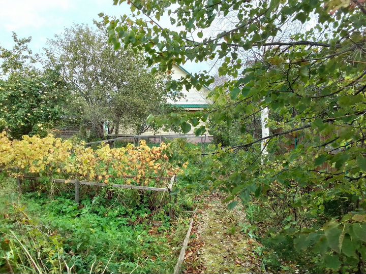 Дом 50,7 м² на участке 16 сот.