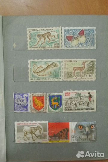 Марки с животными