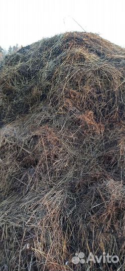 Продам навоз