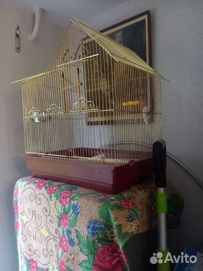 Клетка для птиц