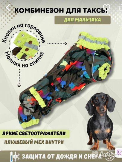 Комбензон для таксы