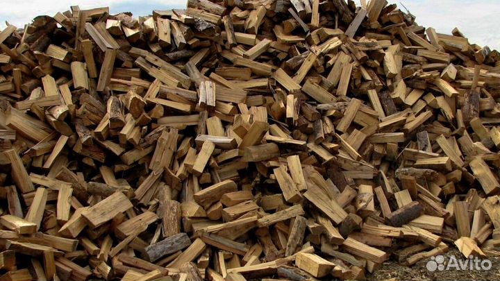 Дрова дубовые от 5м3